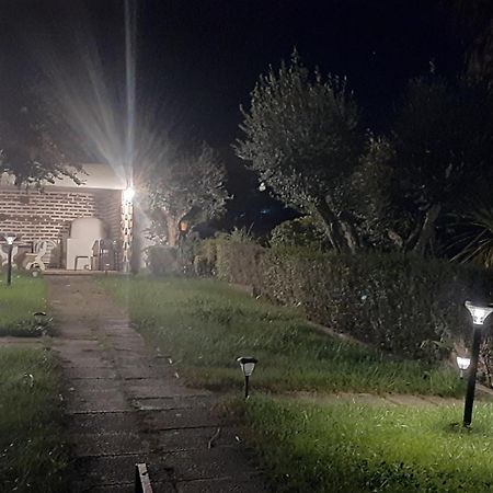 Casa Das 3 Palmeiras Arraiolos Esterno foto