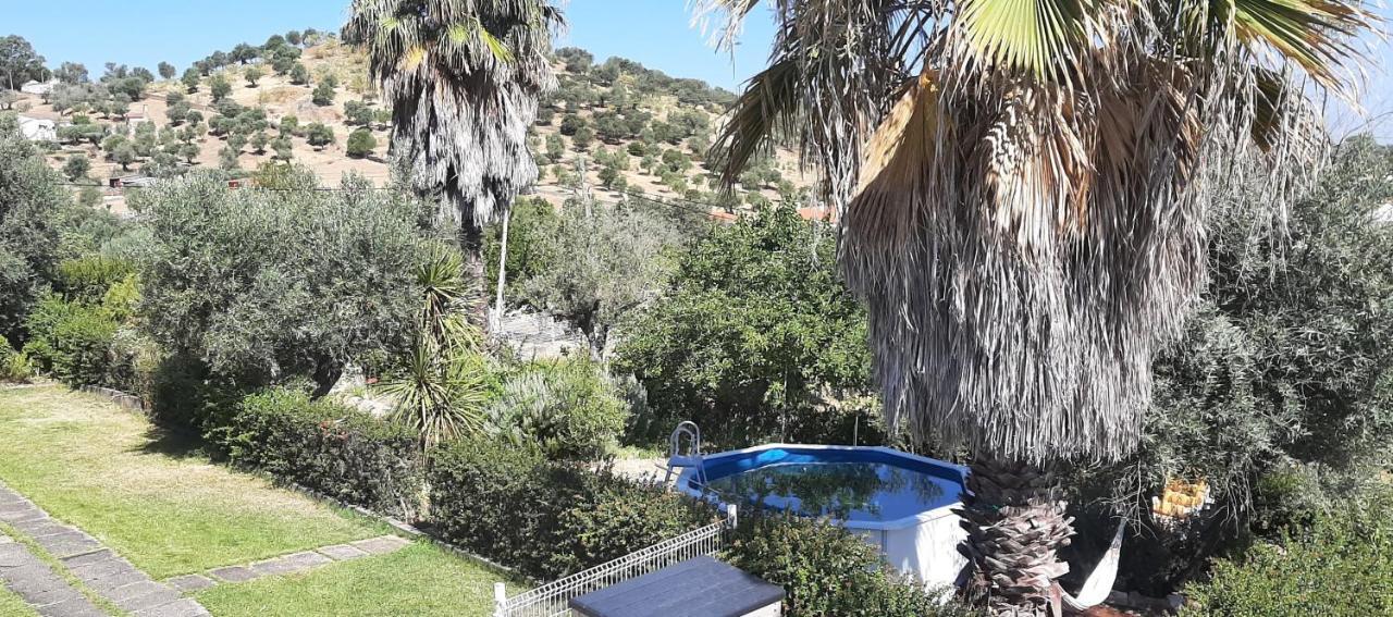 Casa Das 3 Palmeiras Arraiolos Esterno foto