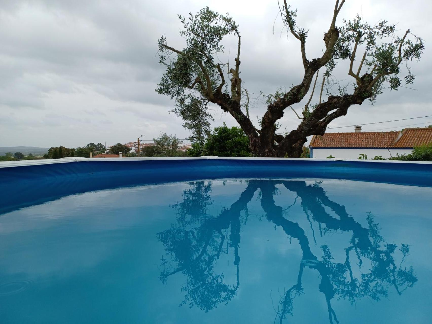 Casa Das 3 Palmeiras Arraiolos Esterno foto