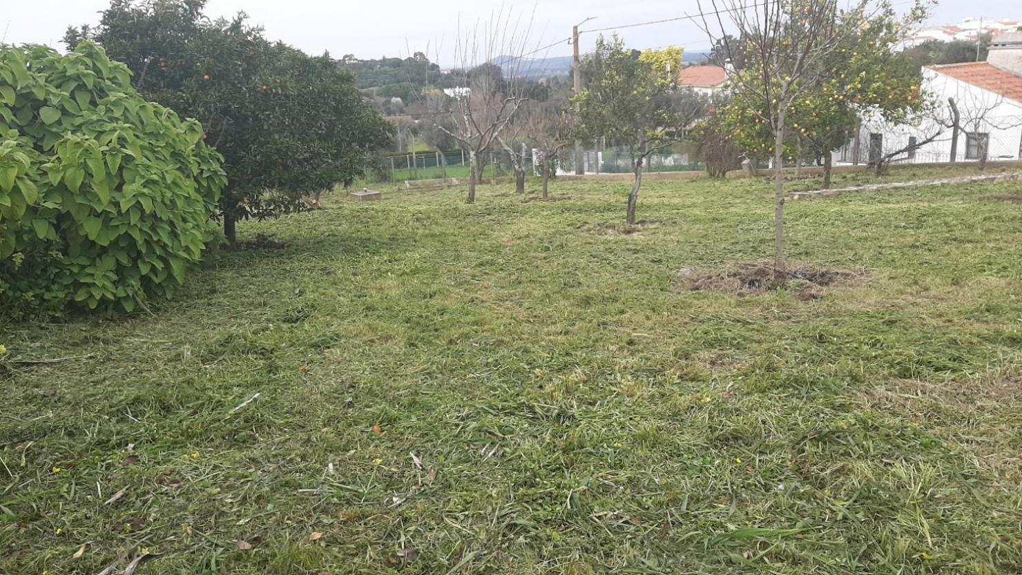 Casa Das 3 Palmeiras Arraiolos Esterno foto
